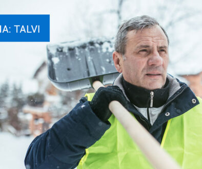 tema_vinter_FI