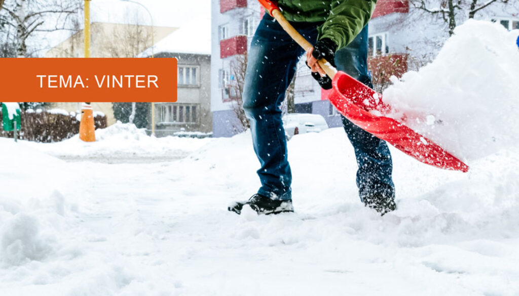 vinter_rubrik